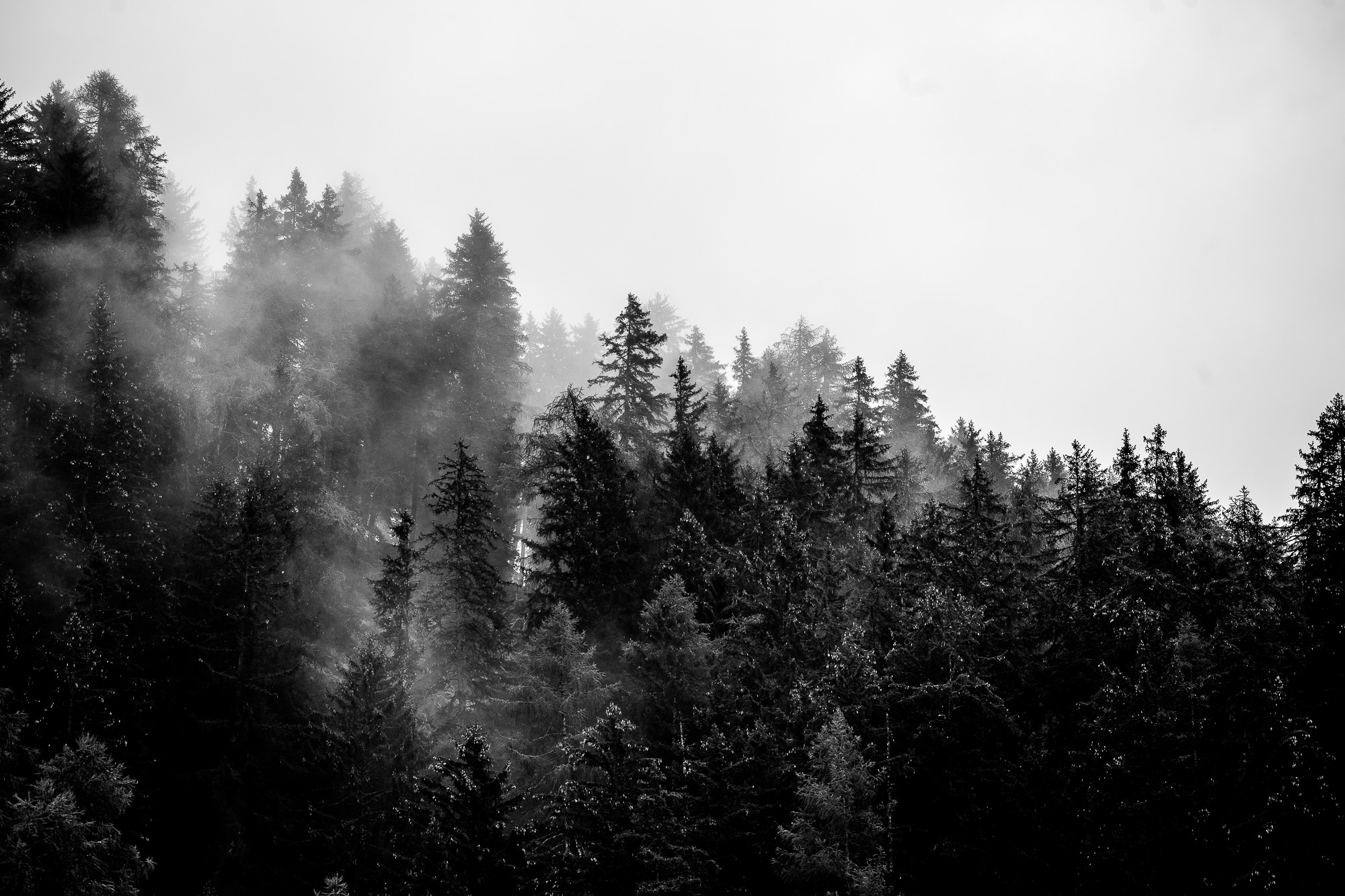 Export x3 1DX23870 Fotoshooting 2018 Annette & Mike Nauders 3